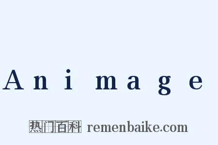 Animage是什么意思的图片